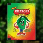 khatori-aam-papad-pic